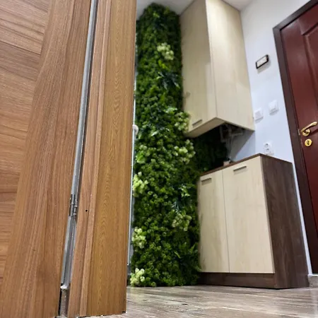 Just By Snow Sheep Apart-1 Bedroom Flat * ルセ